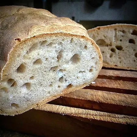 Casapaletti Alfiano Natta